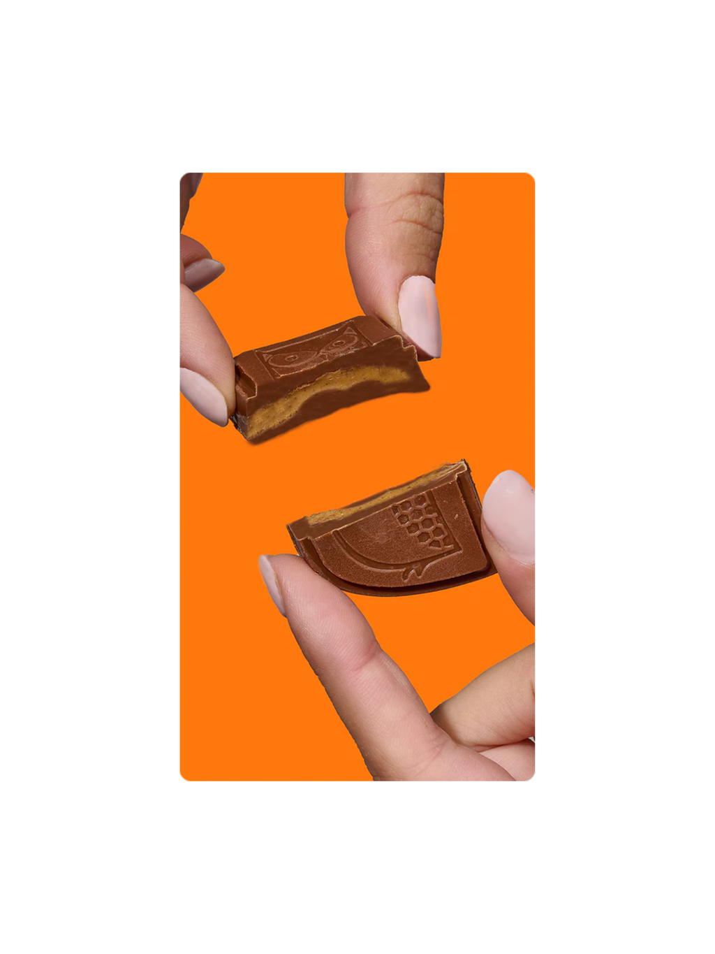 AWAKE - Peanut Butter Chocolate Bites